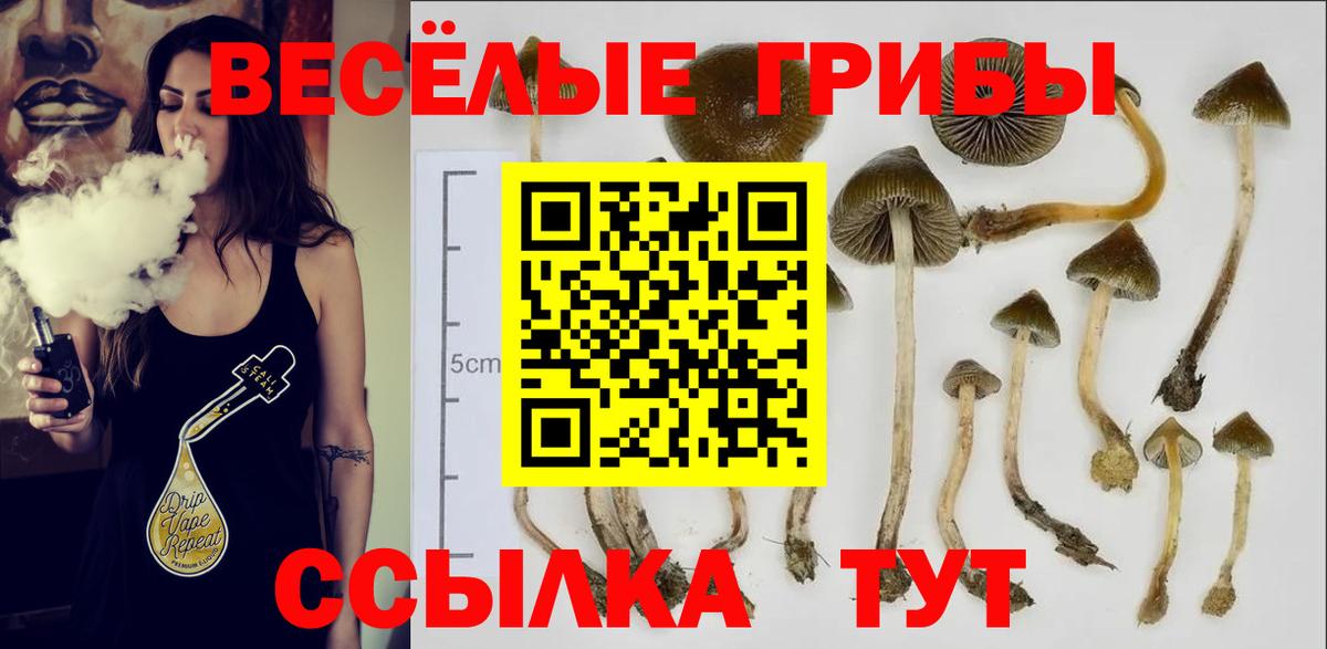 Псилоцибиновые грибы прущие грибы Добрянка